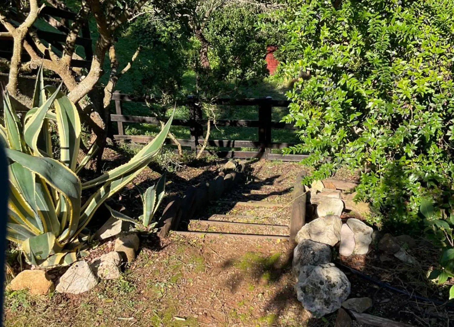Villino Il Limone Villa Nisporto Holiday home