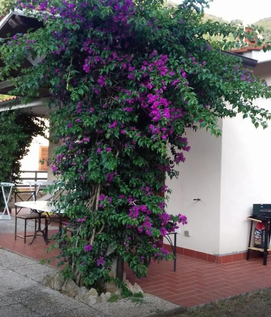 Villino Il Limone Villa Nisporto Holiday home