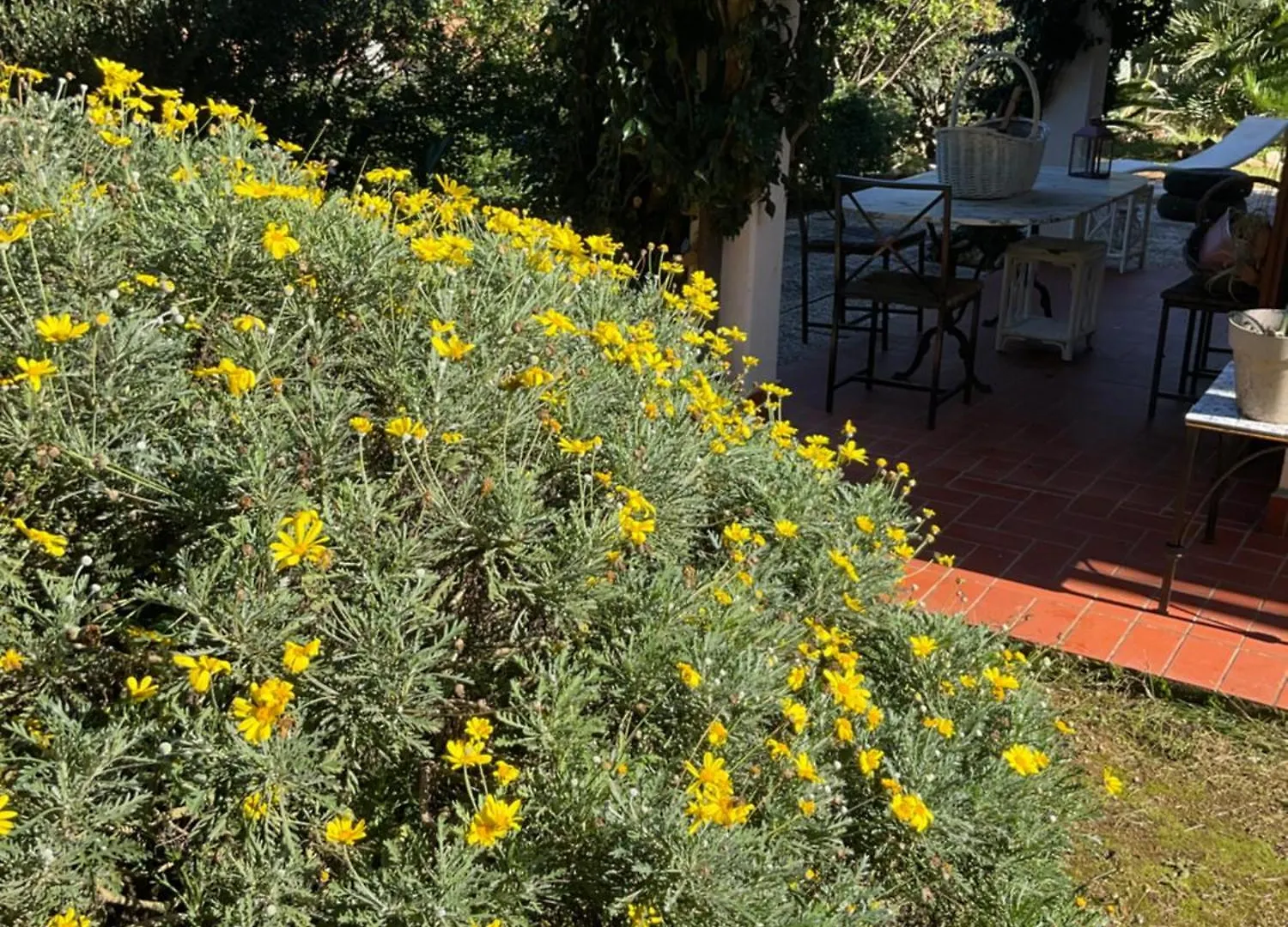 Villino Il Limone Villa Nisporto 0*,