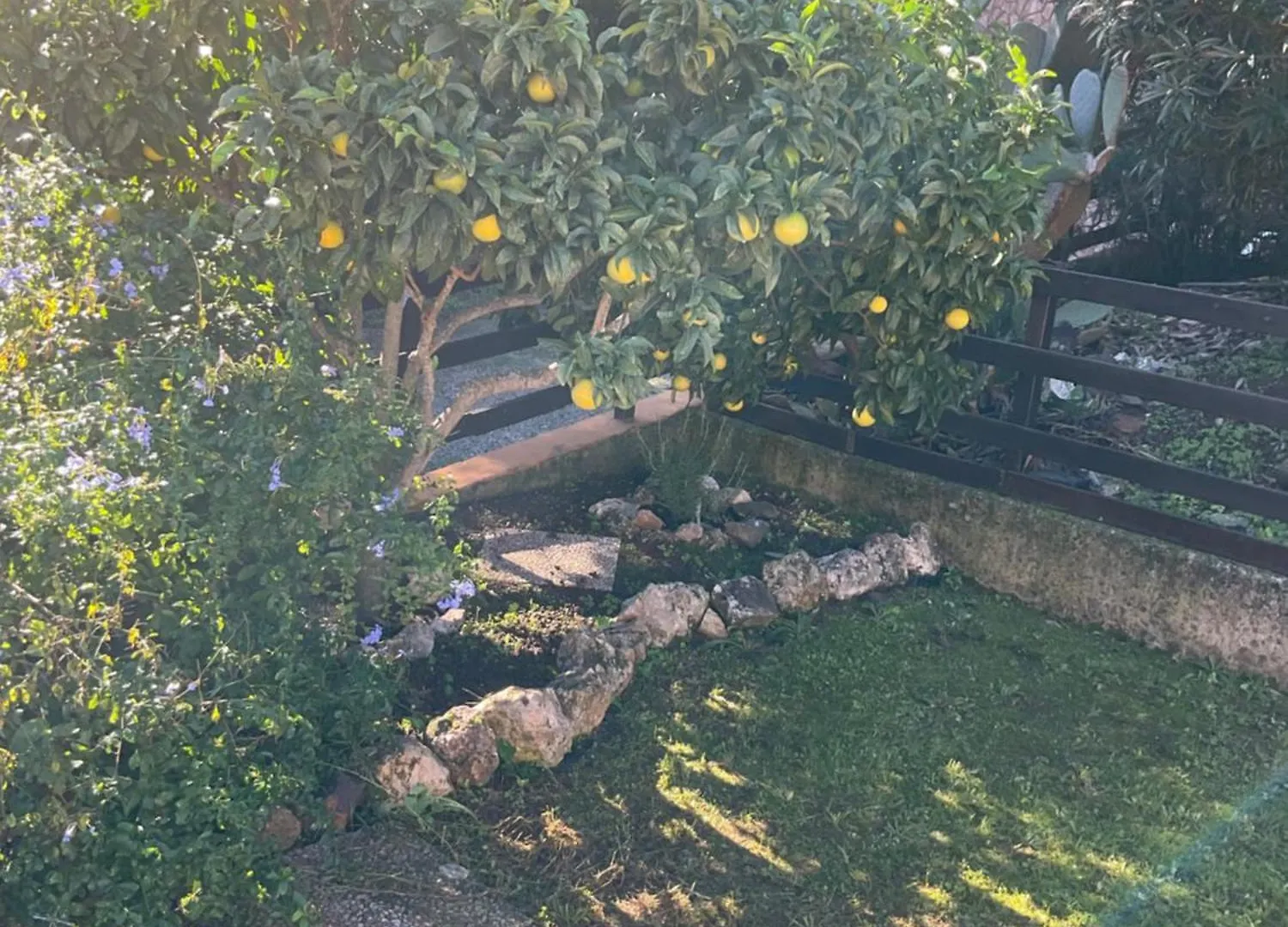 Villino Il Limone Villa Nisporto Holiday home